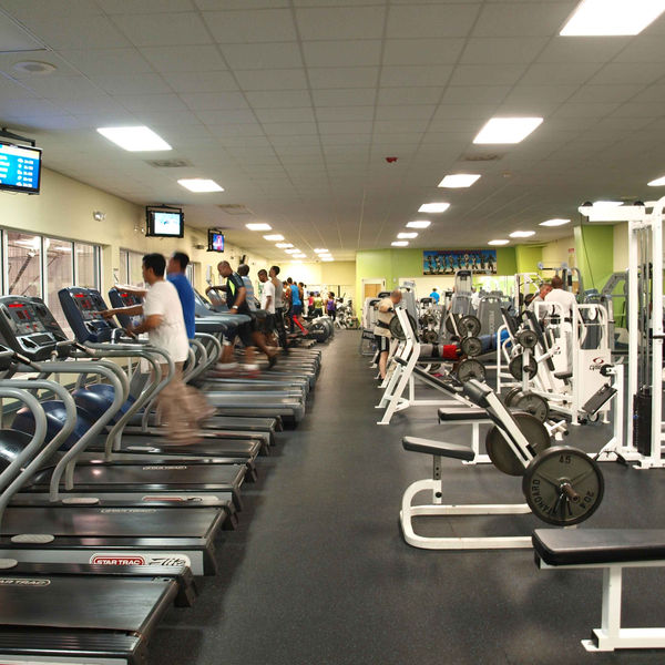 A row of treadmills along the window at Powerhouse Gym