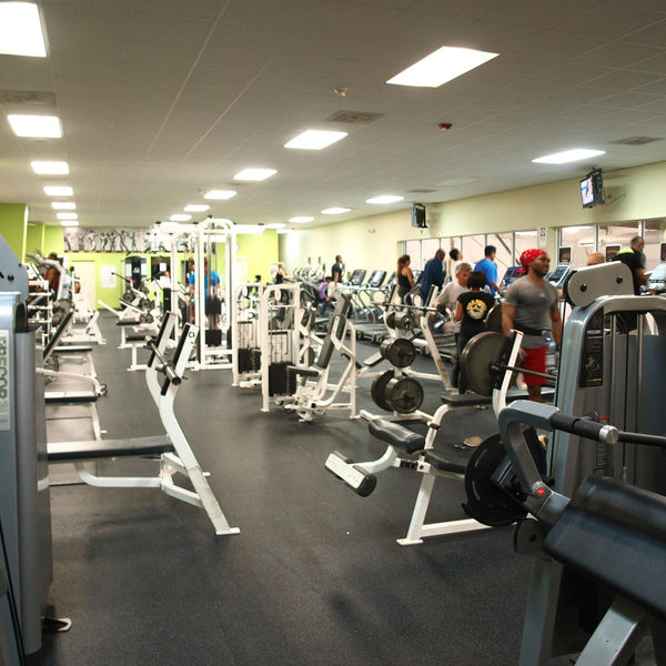 Benches, racks and machines on the gym floor