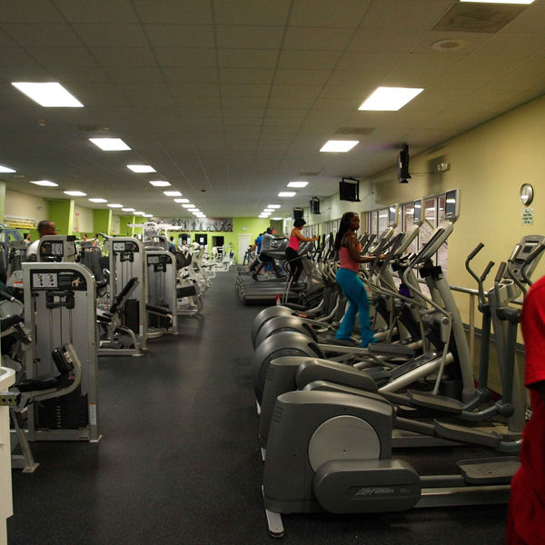 The cardio row of ellipticals and treadmills